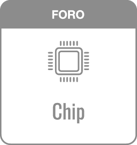 Foro Gris Chip